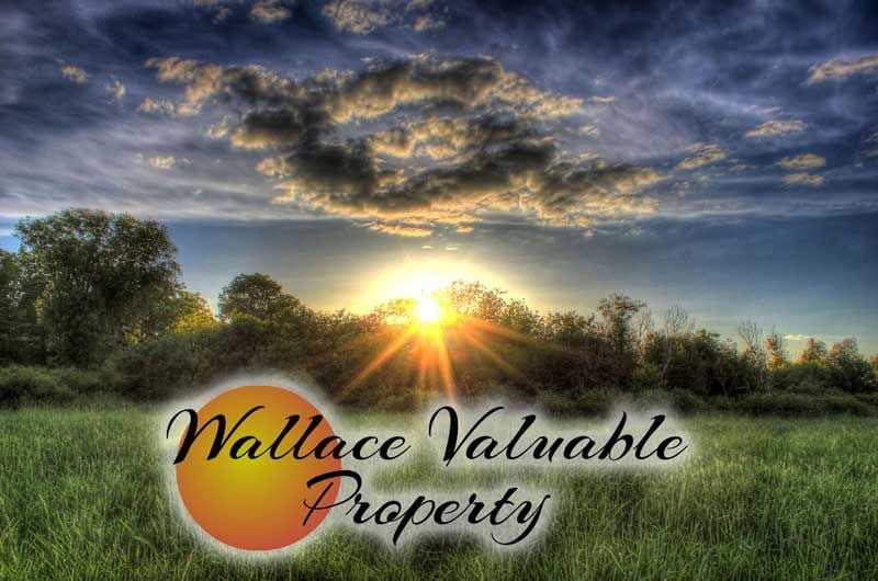 Wallace-Valuable-Property
